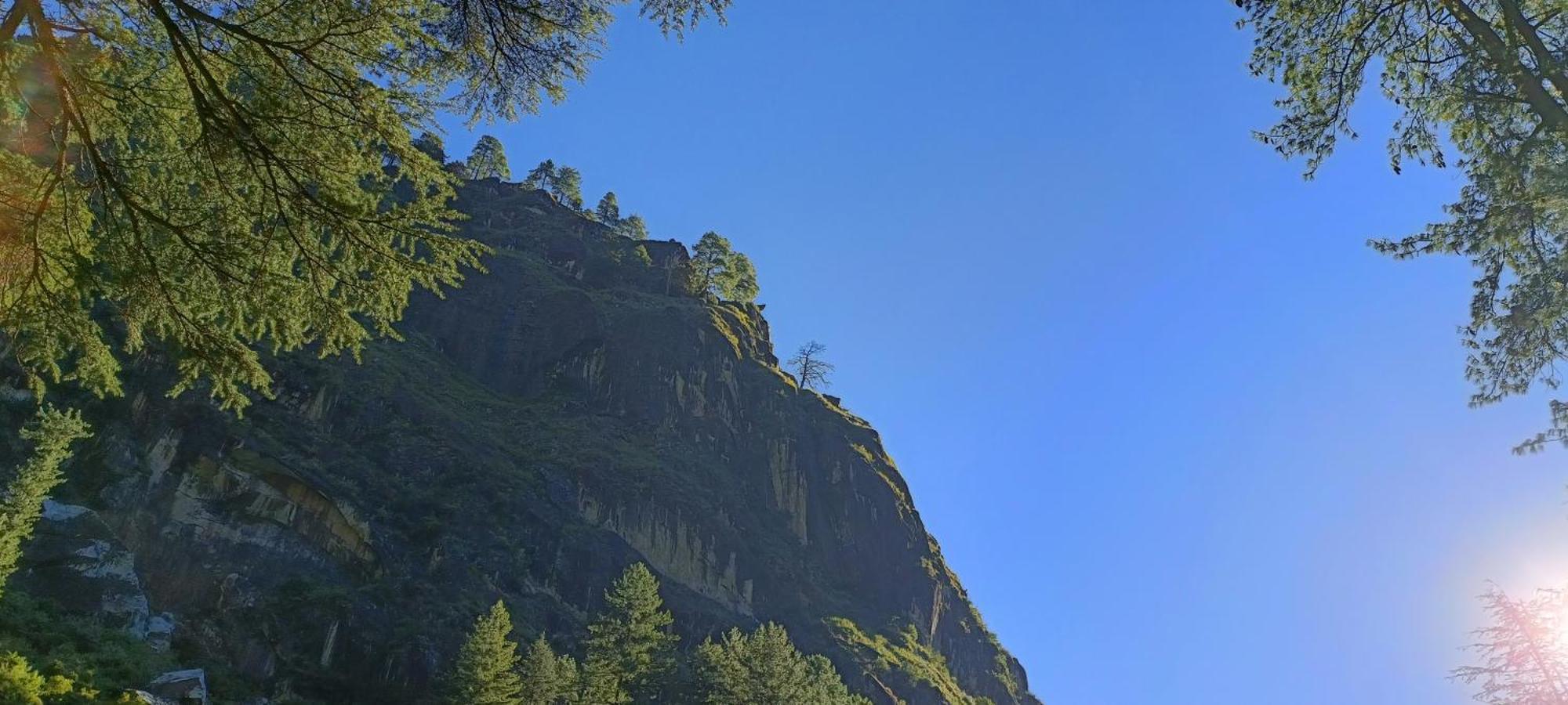 Hotel Dog N Hill Kasol Exterior foto